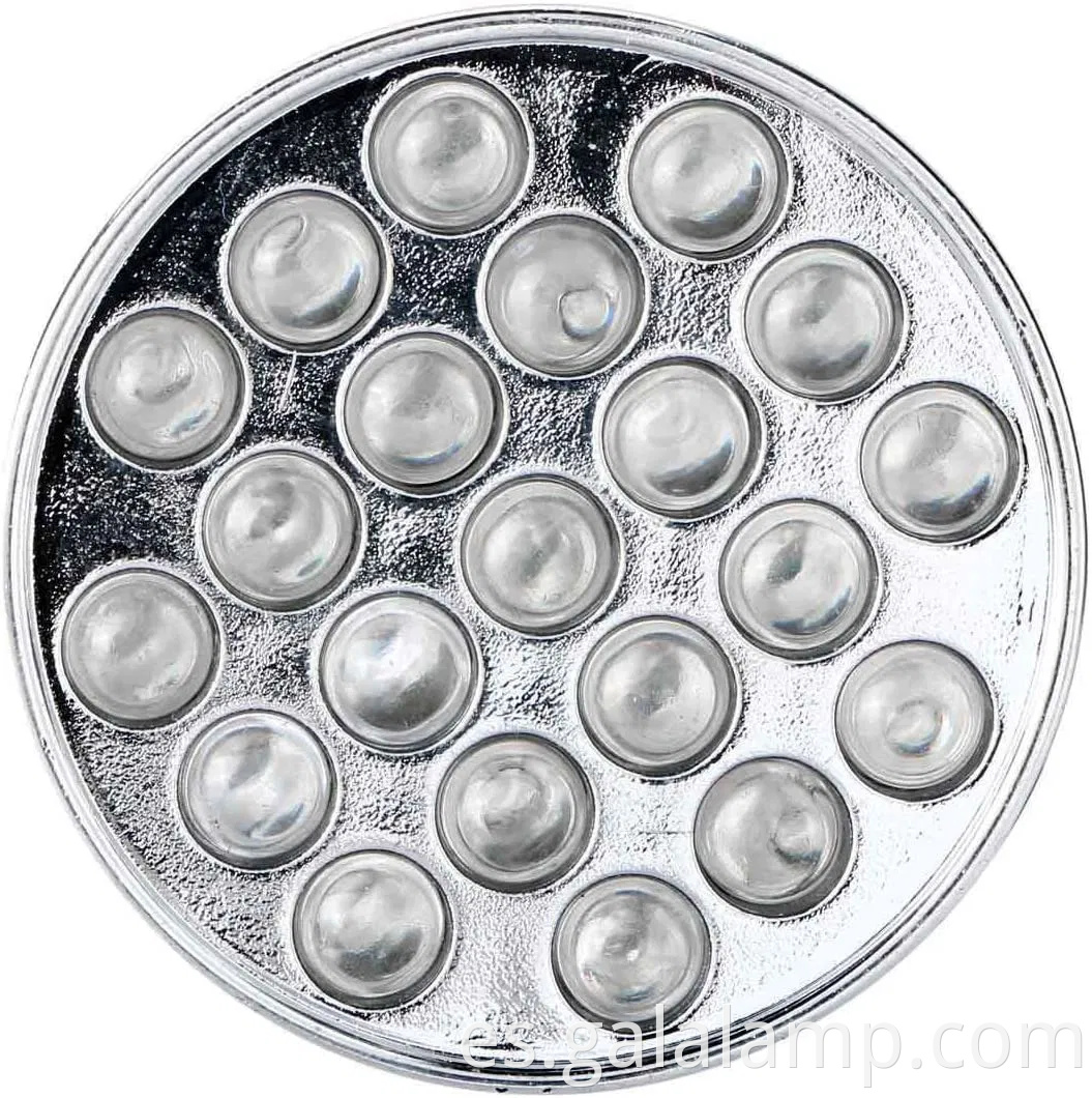 Antorcha portátil para eliminar manchas de orina para perros